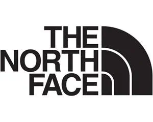 the north face logo