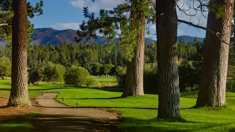 Big pine trees, a cart path, and tee box at Bear Mountain Golf Course during the summertime with lush green forestry in the background