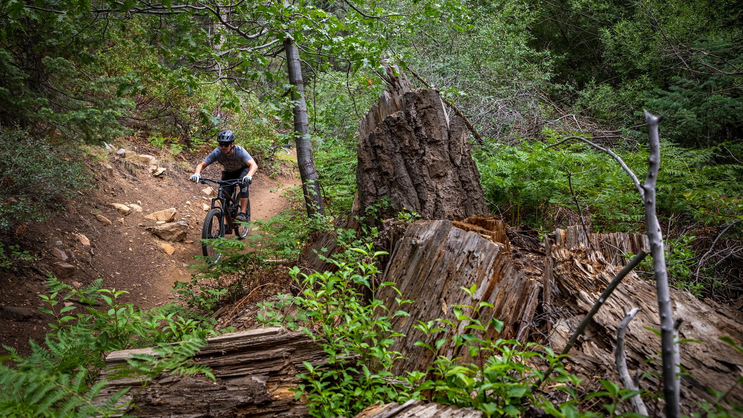 Cross country best sale mtb trails