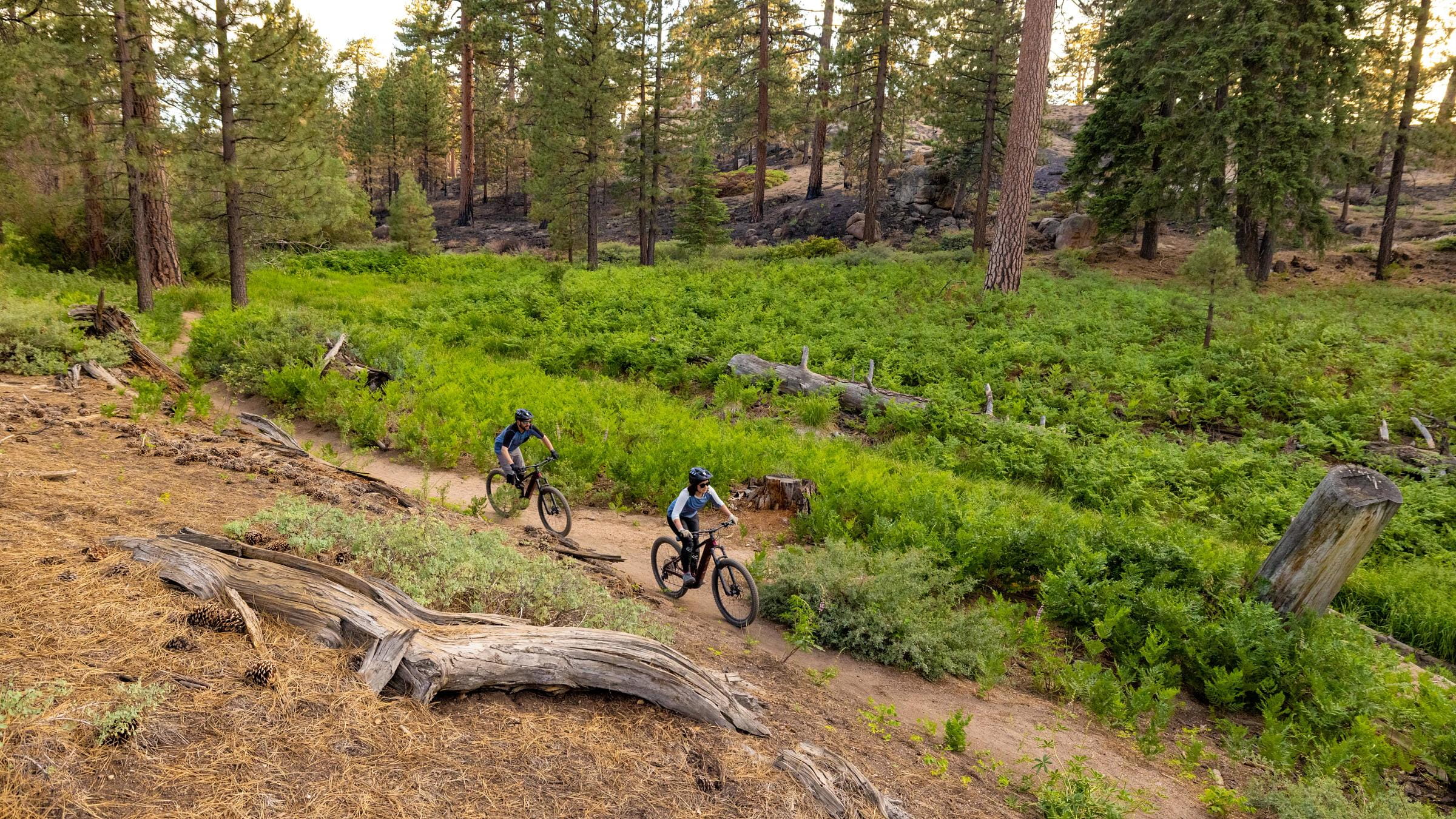 Snow Valley Snow Summit Bike Parks Downhill XC MTB