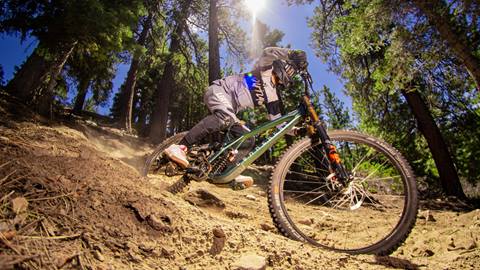 A close up shot of a mountain biker in grey apparel and a black full face helmet on a green bike riding through a dirt trail with trees and a blue sky at Snow Summit Bike Park.