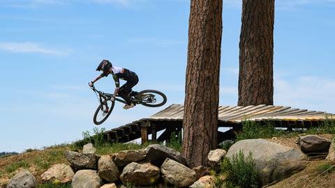 A mountain biker on a dark green bike flying off a wooden bridge feature at Snow Summit's bike park with two trees and a rock garden near the bridge.