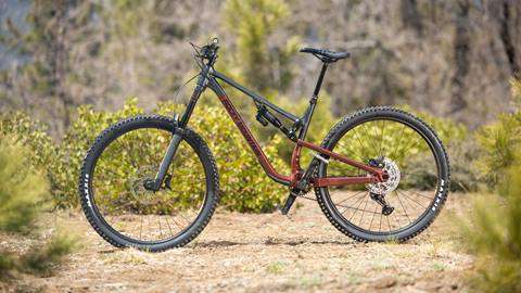 bike rentals - freeride mountain bike redish grey bike with black wheels posted up in the wilderness at snow summit bike park