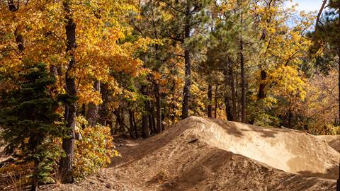 Fall foliage with leaves in green, orange, and yellow colors lining a dirt berm trail at the bike park