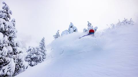 Skier doing a slash in fresh powder and fresh snow is covering body